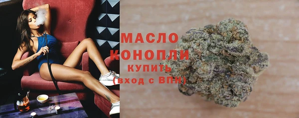 индика Нея