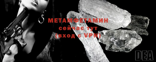 индика Нея