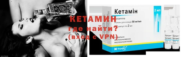 индика Нея