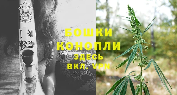индика Нея
