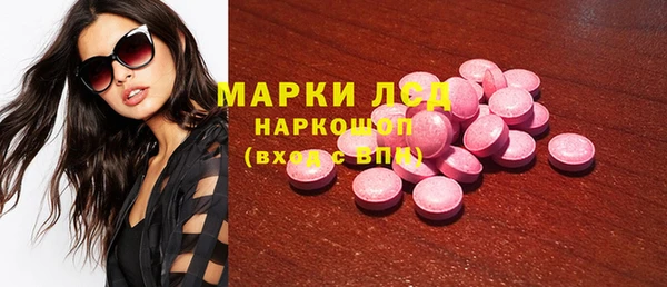 индика Нея