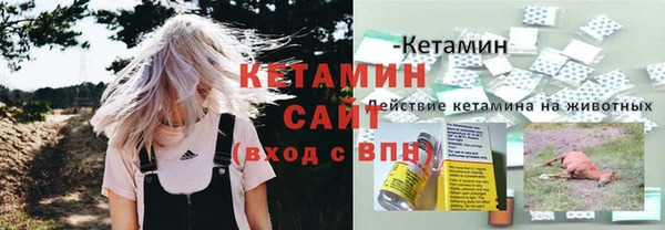 apvp Новозыбков