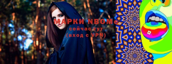индика Нея