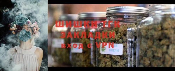 индика Нея