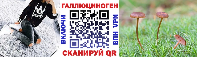 даркнет сайт  Зеленокумск  Галлюциногенные грибы Psilocybine cubensis 
