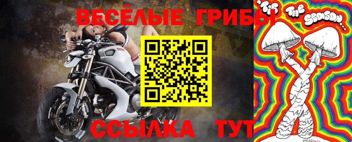 Галлюциногенные грибы MAGIC MUSHROOMS Зеленокумск