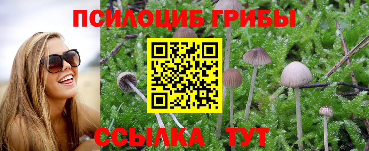 Псилоцибиновые грибы мухоморы  Вход с VPN  Зеленокумск 