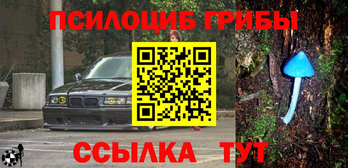 Галлюциногенные грибы мицелий Зеленокумск